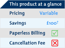 This product at a glance