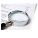 magnifier
