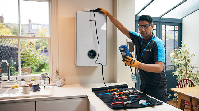 Maintenance and safety - British Gas