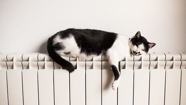 Radiator types explained - choosing your radiator - British Gas