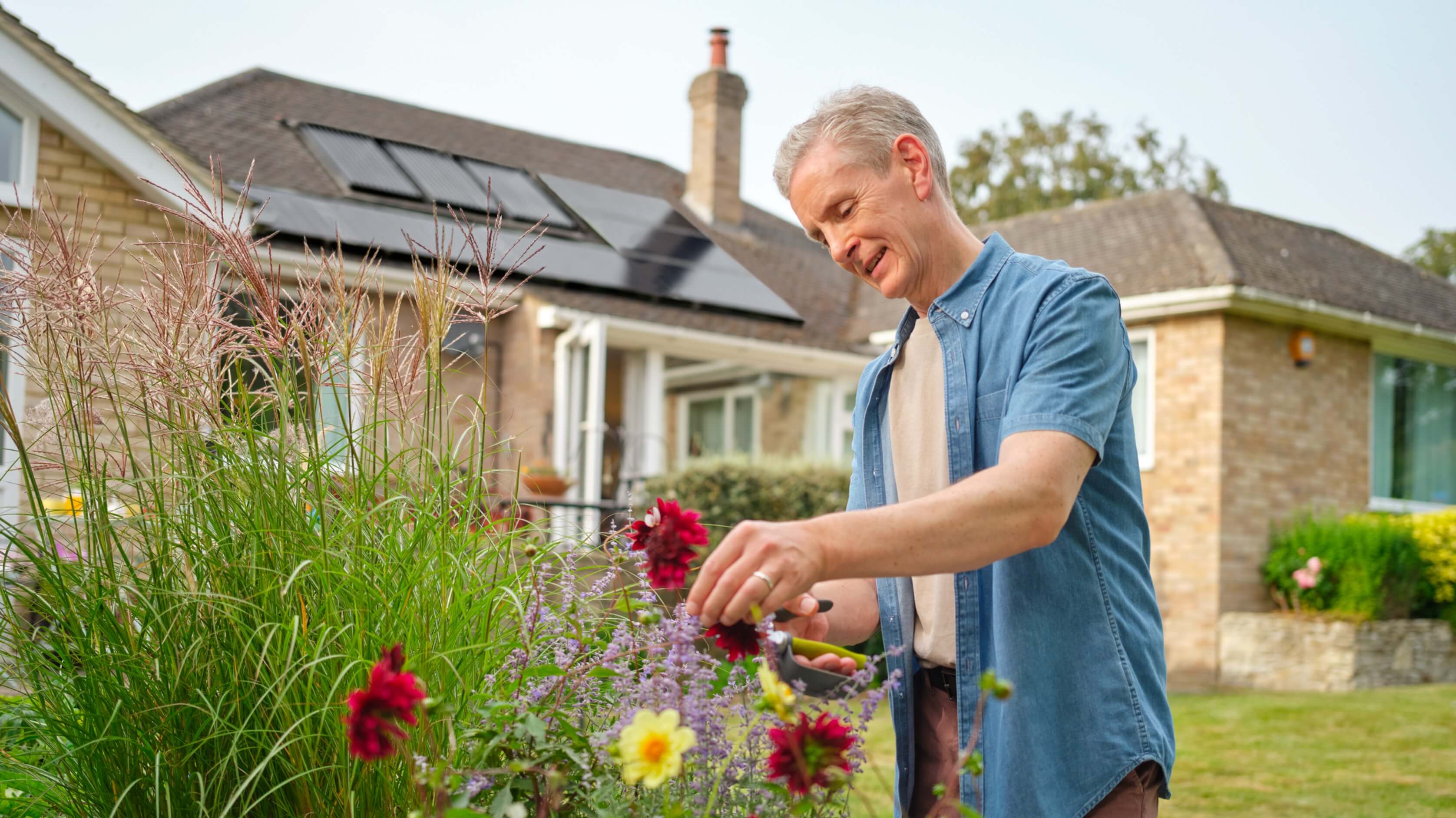 Hive Solar Panels & Battery Hive Home