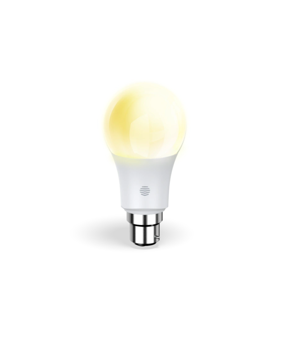 Hive Lights