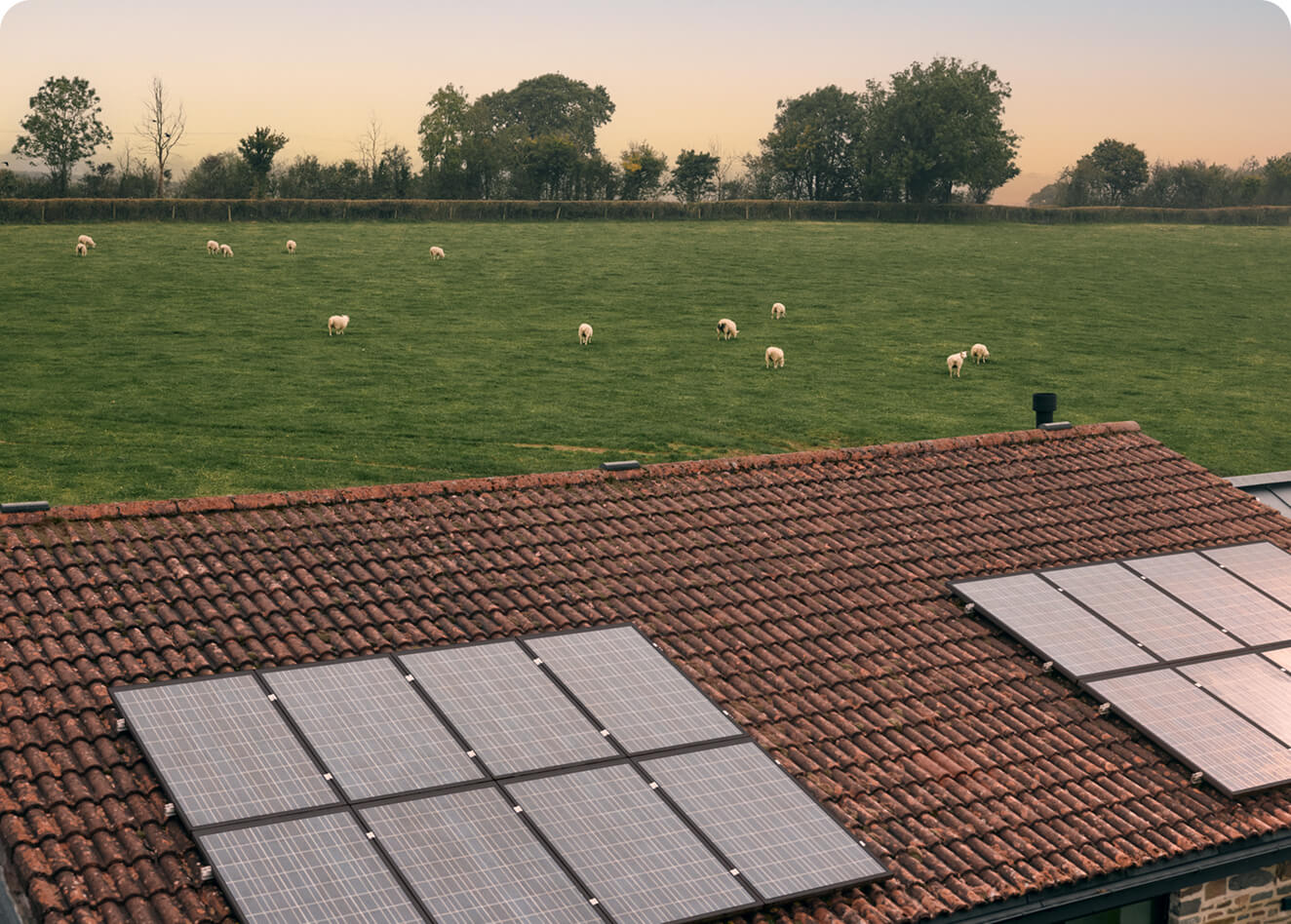 Hive Solar