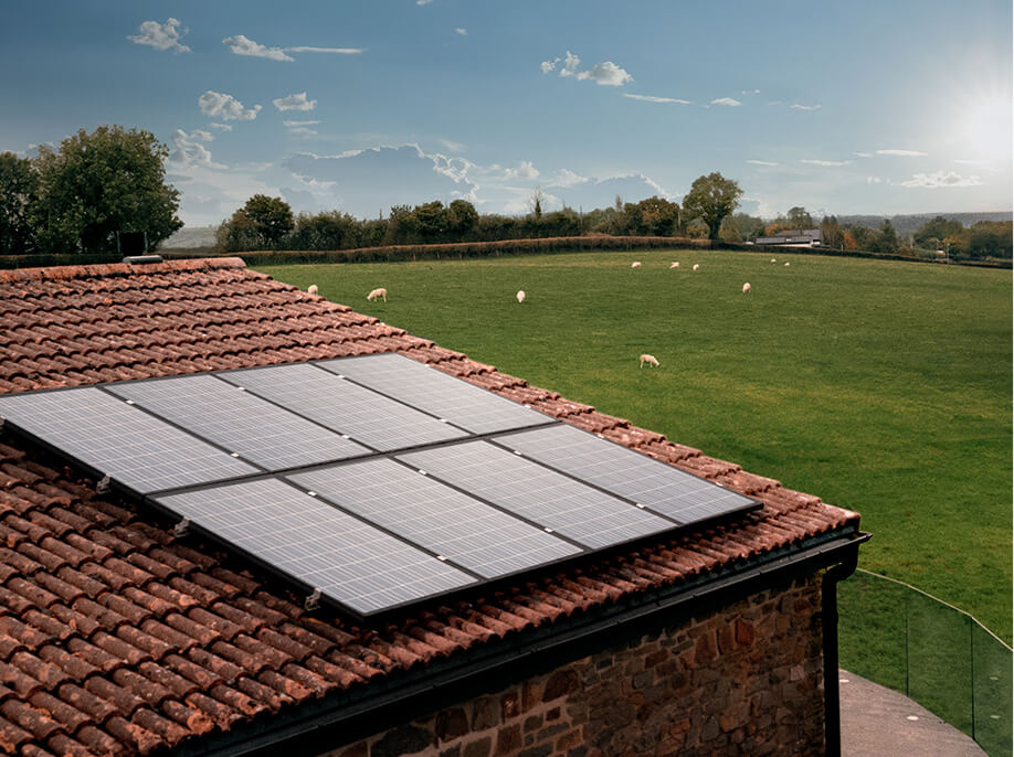 Hive Solar & Battery
